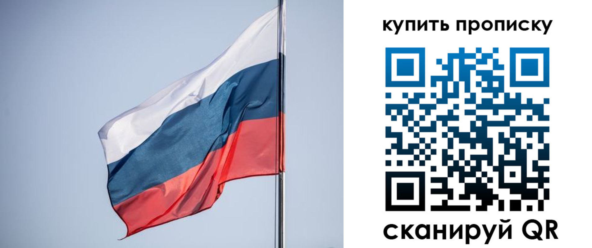 где прописаться в Кингисеппе